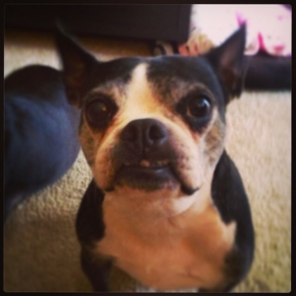 Meet your Posher, Ana - Picture 1 of 1